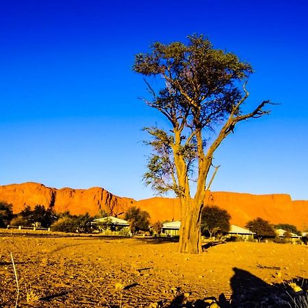 Namib Desert Campsite 索利泰尔 外观 照片