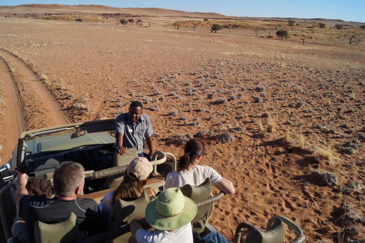 Namib Desert Campsite 索利泰尔 外观 照片