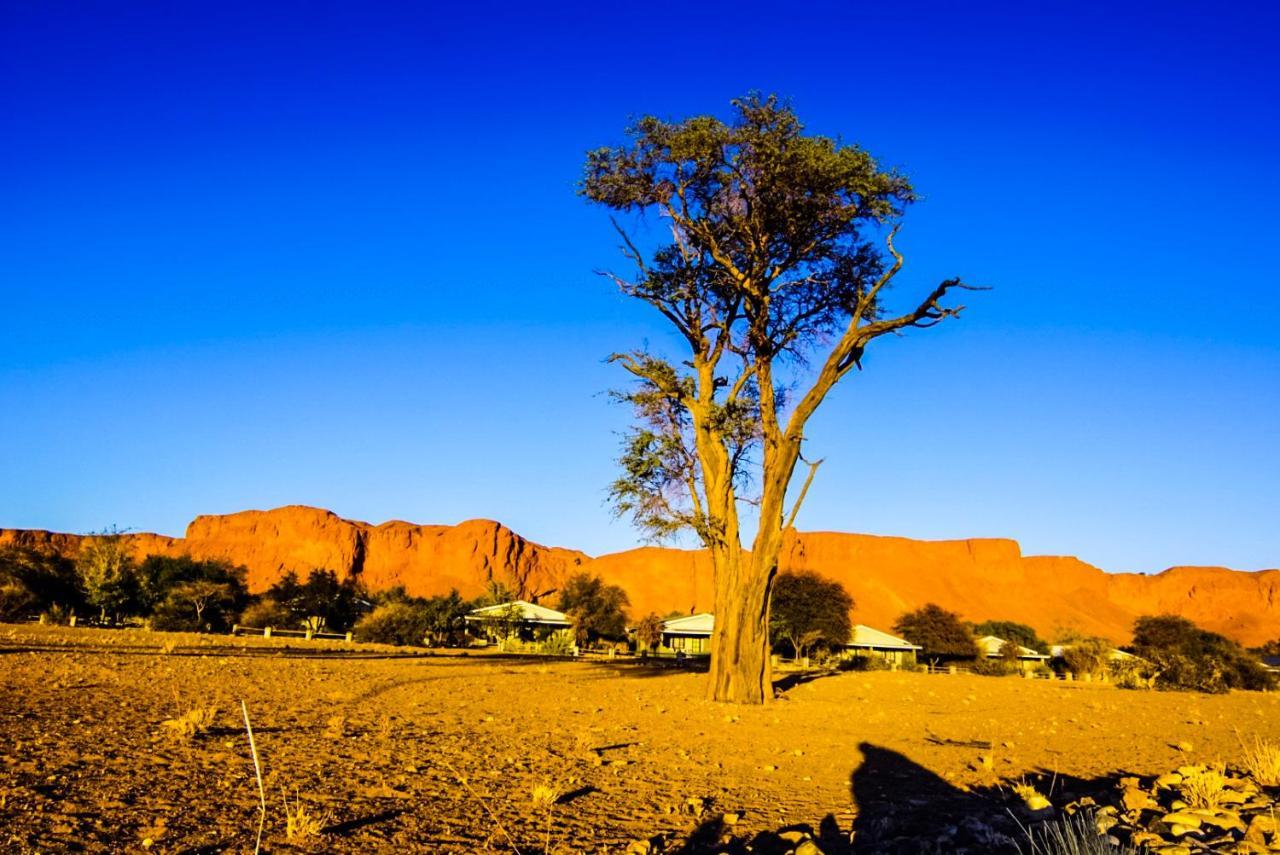 Namib Desert Campsite 索利泰尔 外观 照片