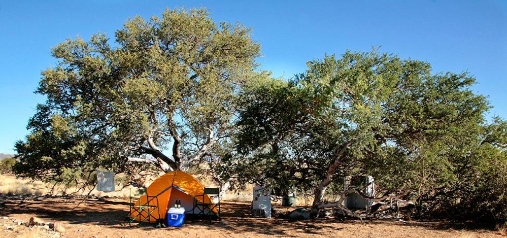 Namib Desert Campsite 索利泰尔 外观 照片
